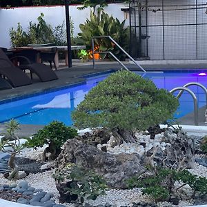 Parrot Resort Moalboal